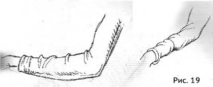 Рисунок 19