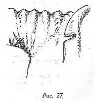 Рисунок 27