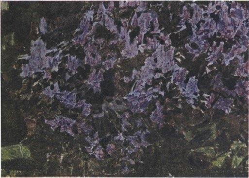 Рисунок 26