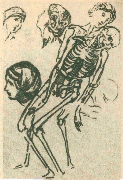 Рафаэль. Анатомический рисунок